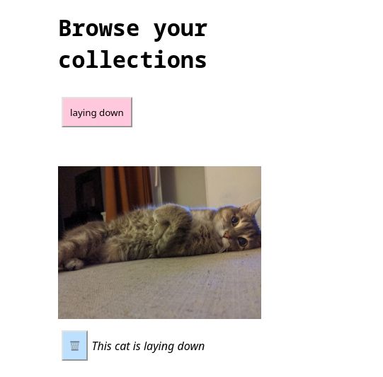 Screenshot of the collection, allowing you to preview a bookmarked cat in a particular named collection and remove it if needed